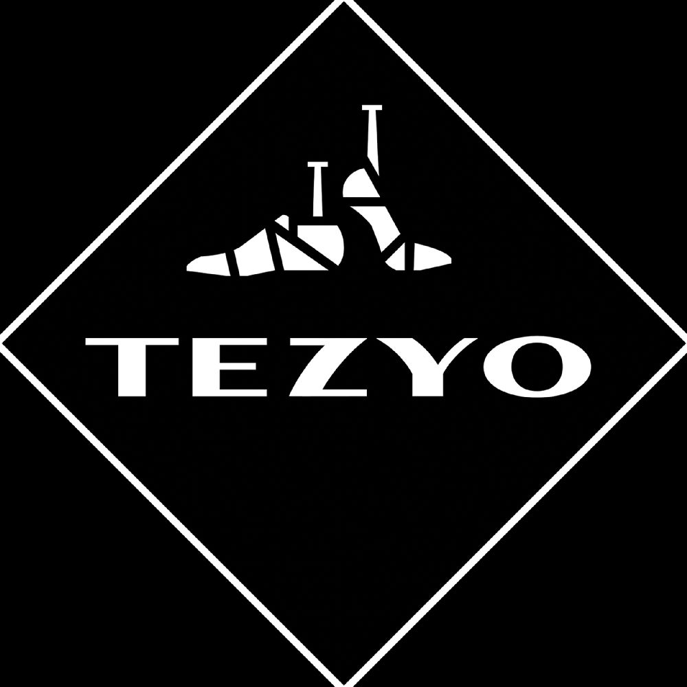 Logo tezyo